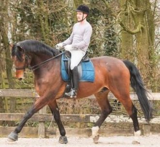 Bas medewerker manege Liethorp